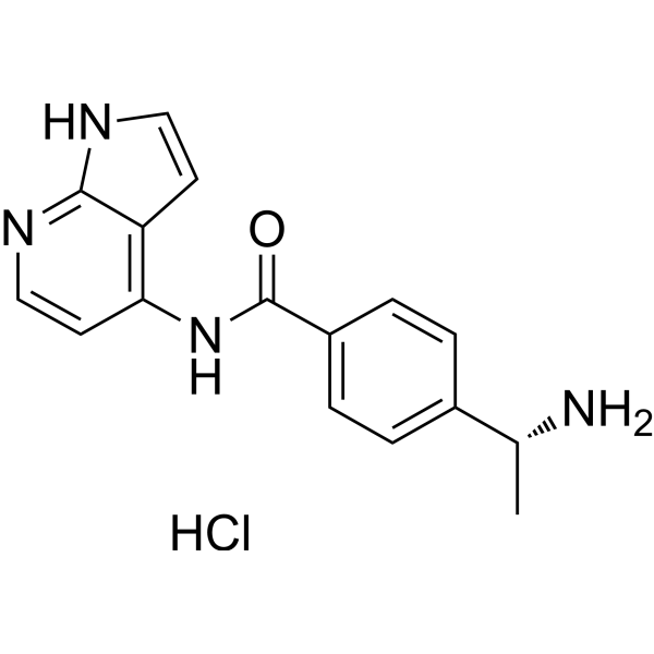 Y-33075 hydrochloride (Y-39983) 471843-75-1